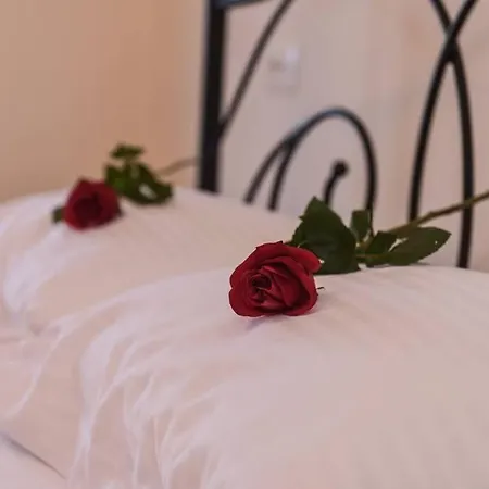 Apartment Dr Vasi Holidays House
